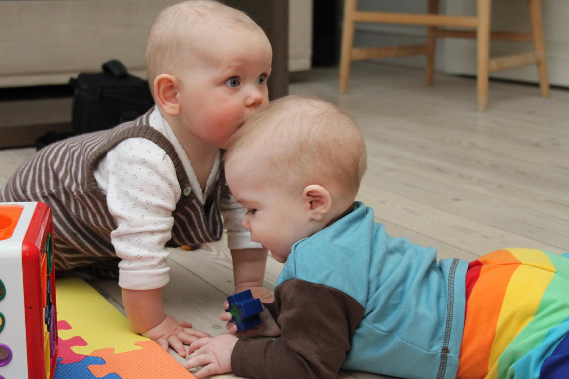 Klik på billedet for at lukke vinduet