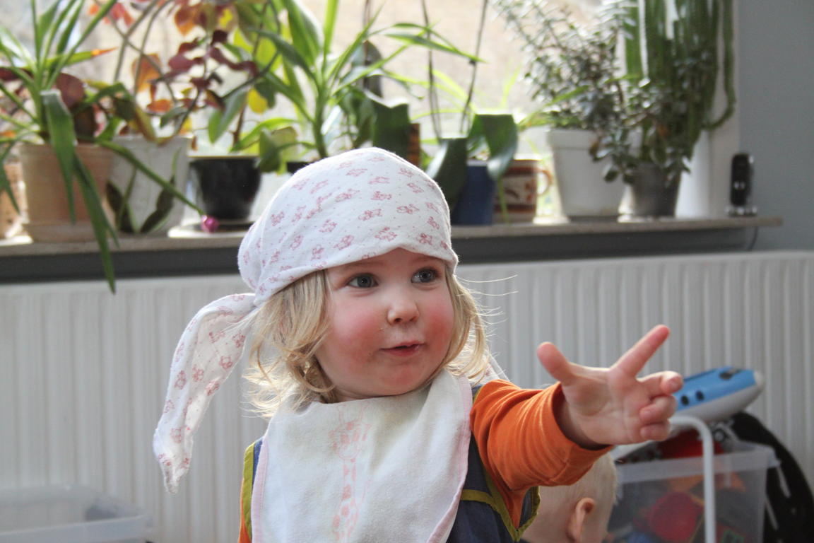Klik på billedet for at lukke vinduet