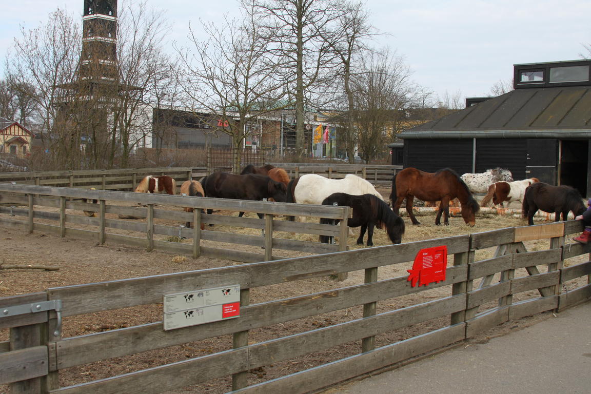 Klik på billedet for at lukke vinduet