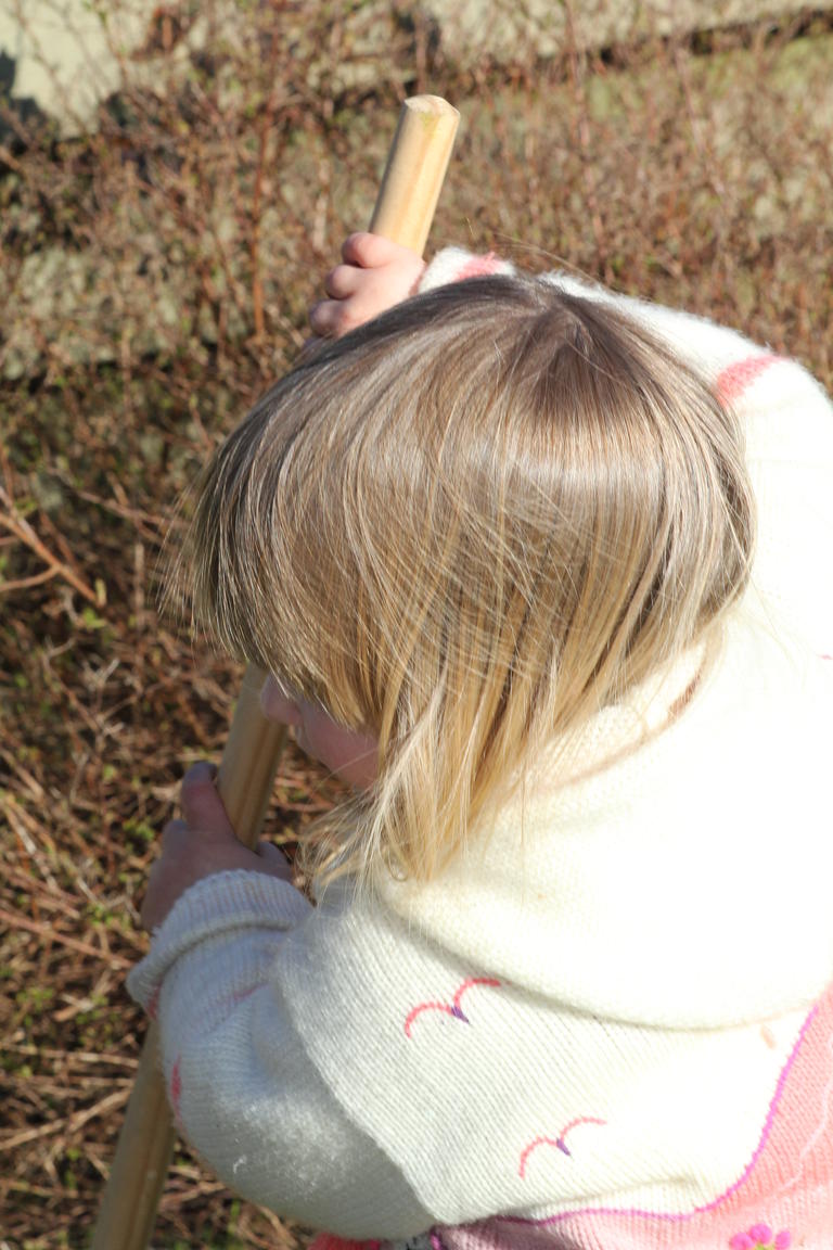 Klik på billedet for at lukke vinduet