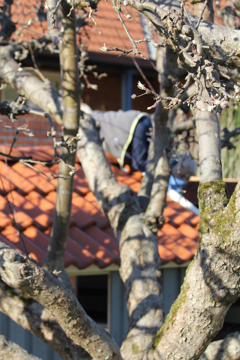 Klik på billedet for at lukke vinduet