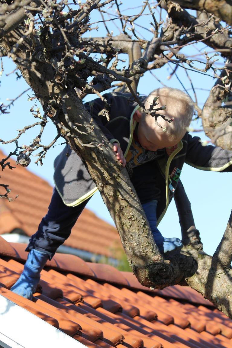 Klik på billedet for at lukke vinduet