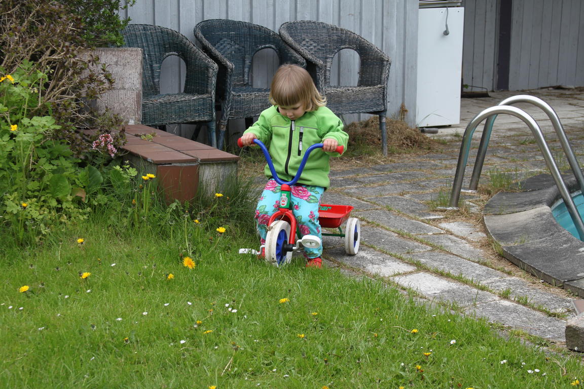 Klik på billedet for at lukke vinduet