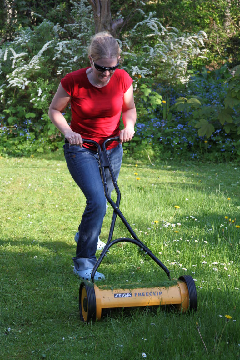 Klik på billedet for at lukke vinduet