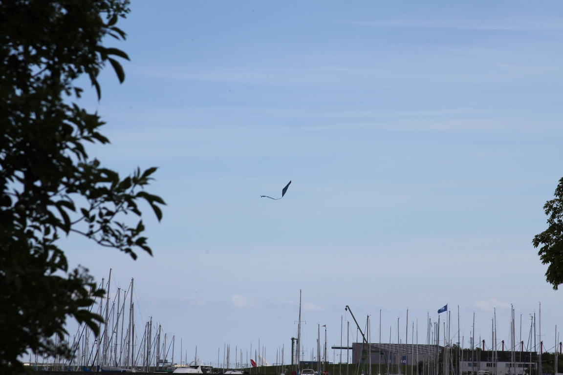Klik på billedet for at lukke vinduet