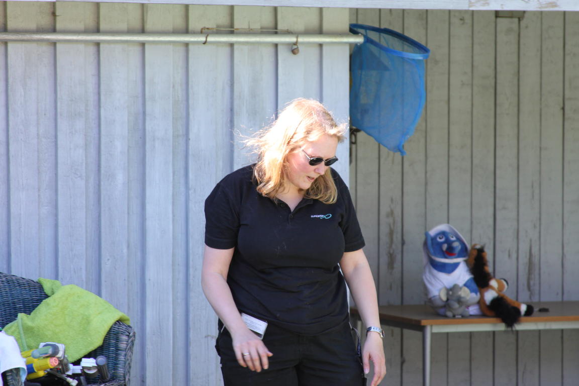 Klik på billedet for at lukke vinduet