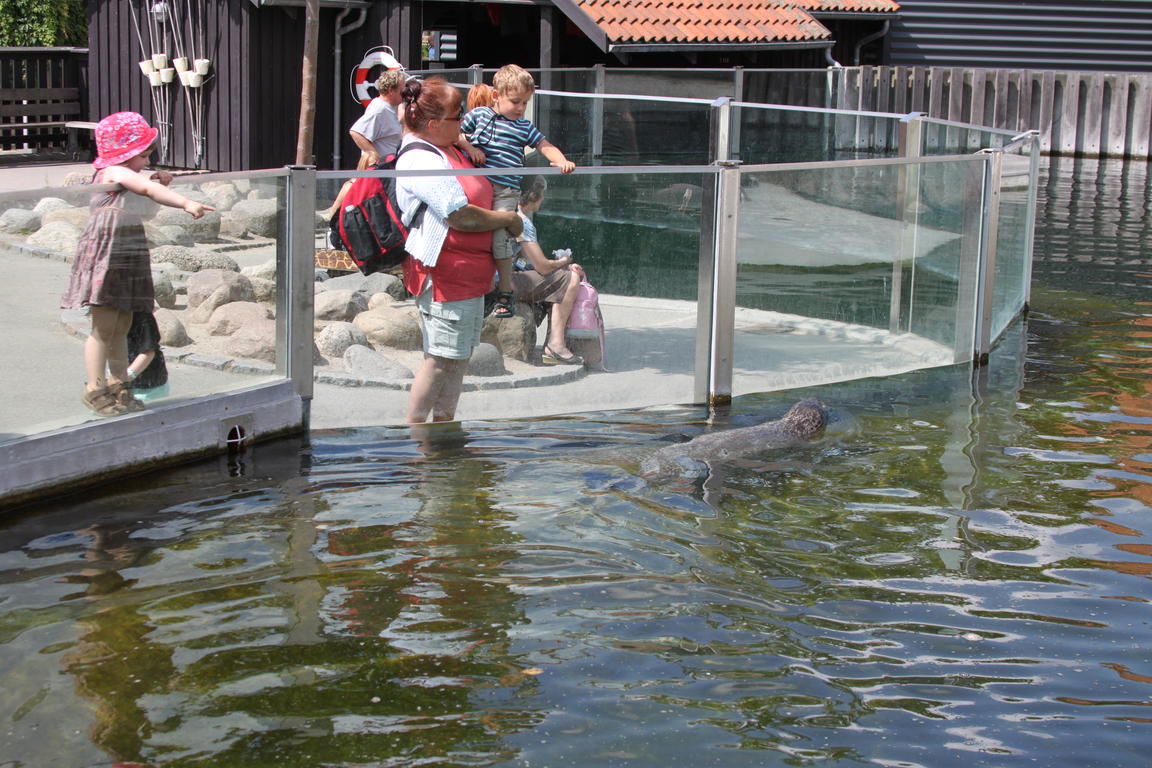 Klik på billedet for at lukke vinduet