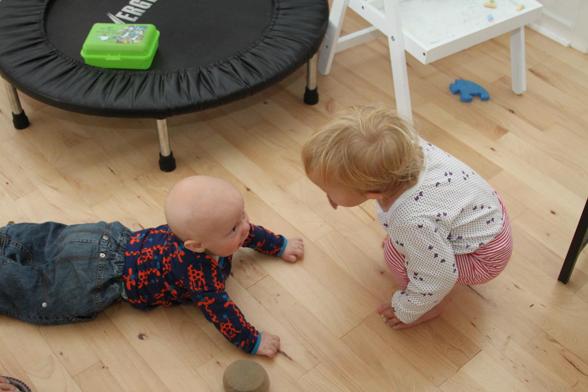 Klik på billedet for at lukke vinduet