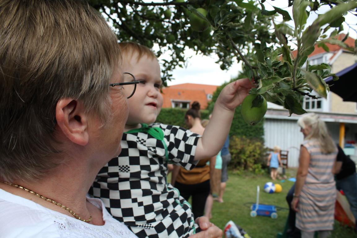 Klik på billedet for at lukke vinduet