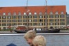 Klik på billedet for at se det i større format