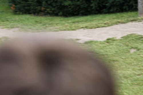 Klik på billedet for at se det i større format