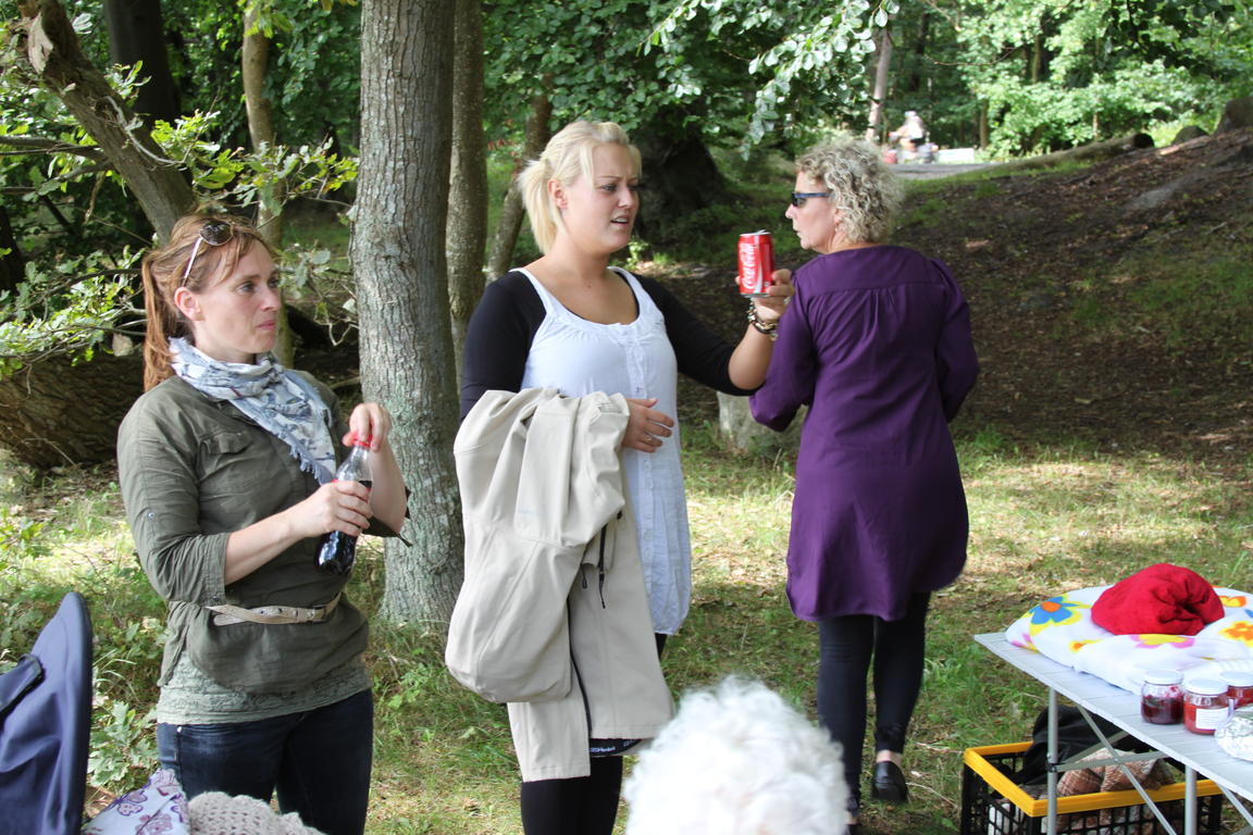 Klik på billedet for at lukke vinduet