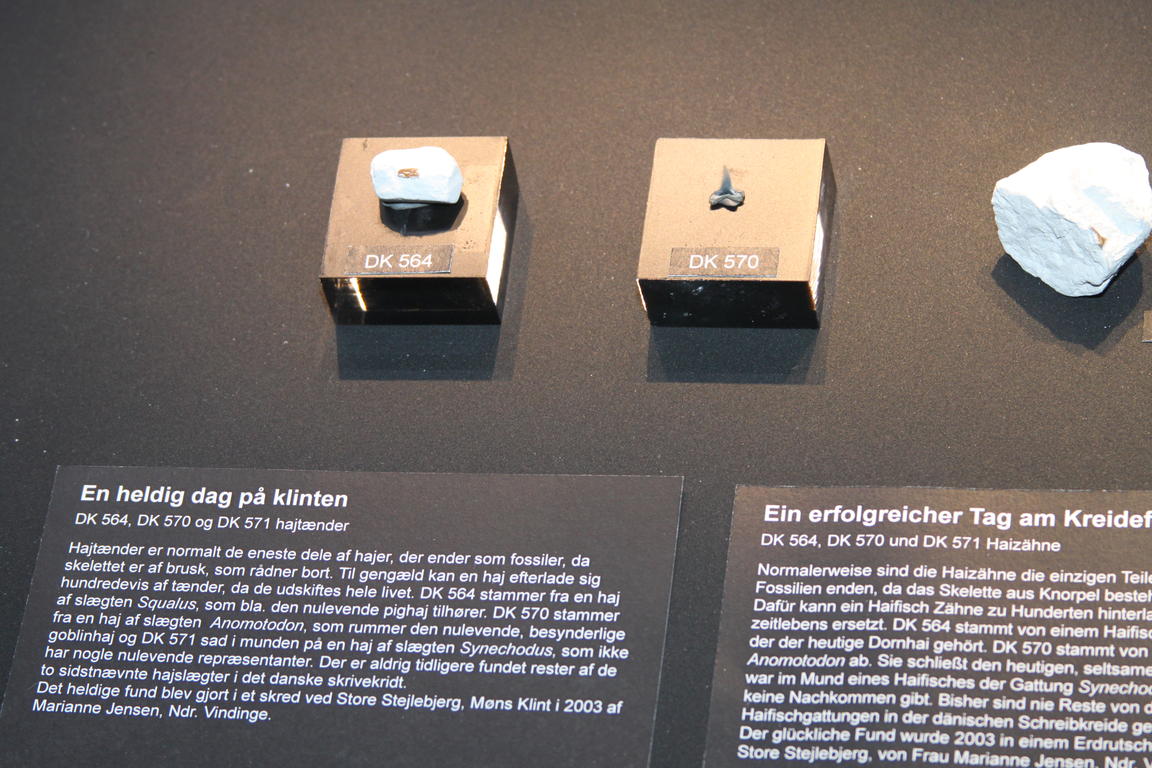 Klik på billedet for at lukke vinduet