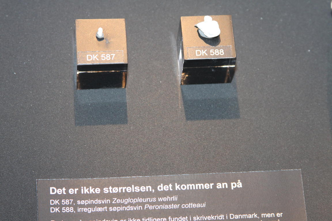 Klik på billedet for at lukke vinduet