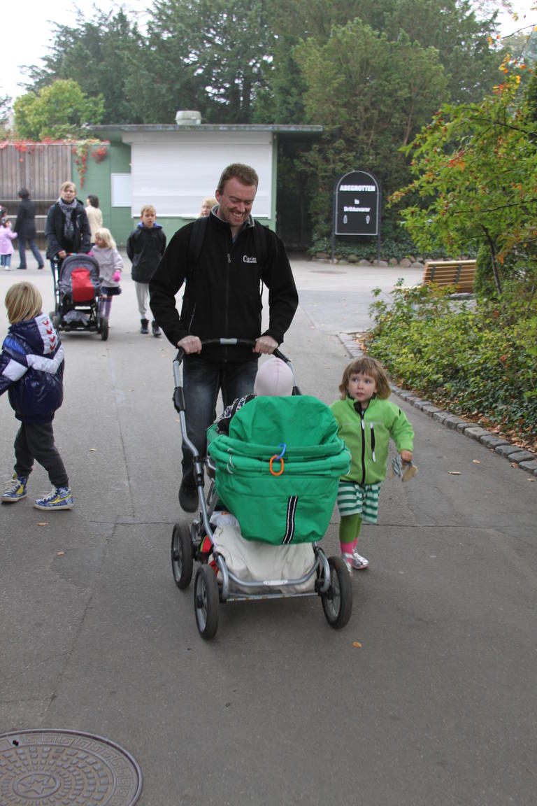 Klik på billedet for at lukke vinduet