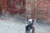 Klik på billedet for at se det i større format