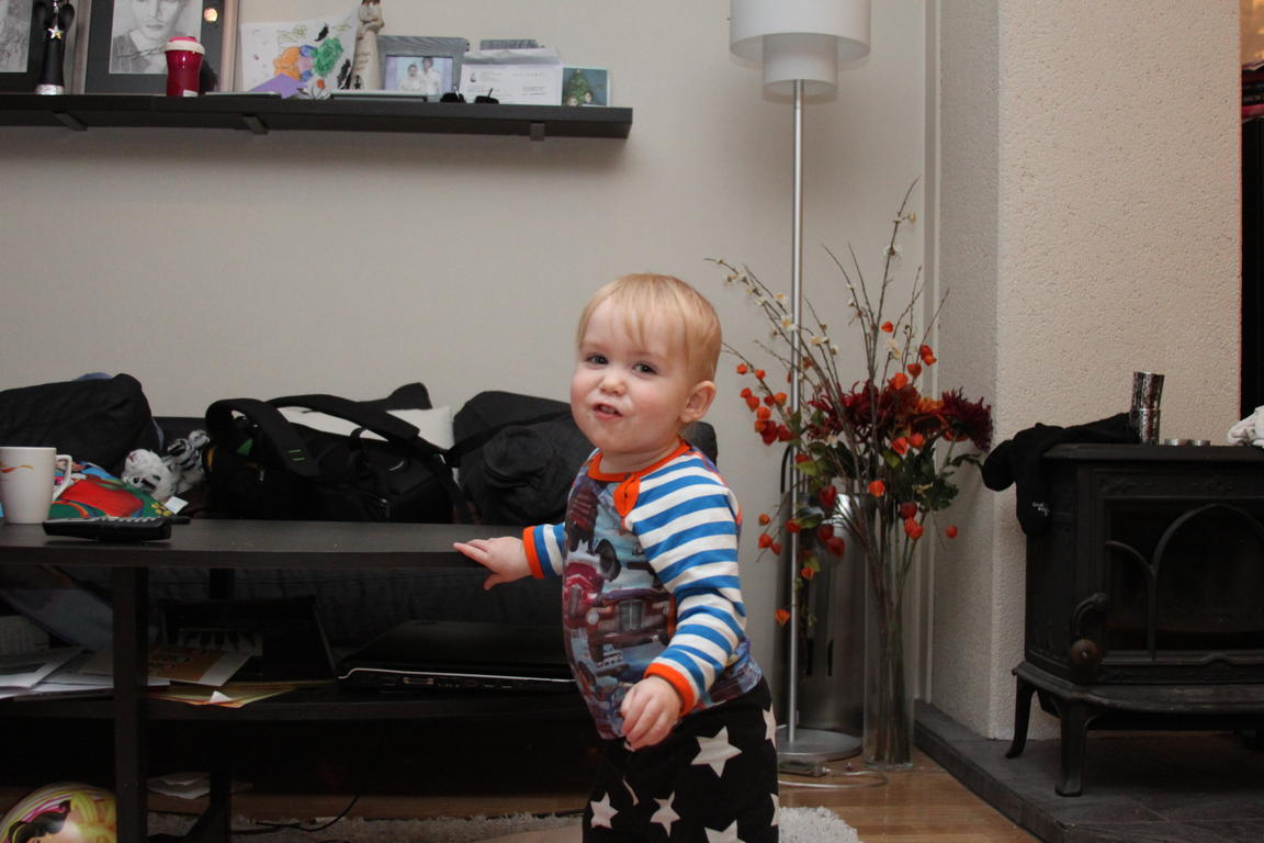 Klik på billedet for at lukke vinduet