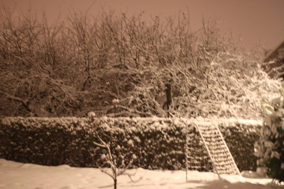 Klik på billedet for at lukke vinduet