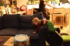 Klik på billedet for at se det i større format