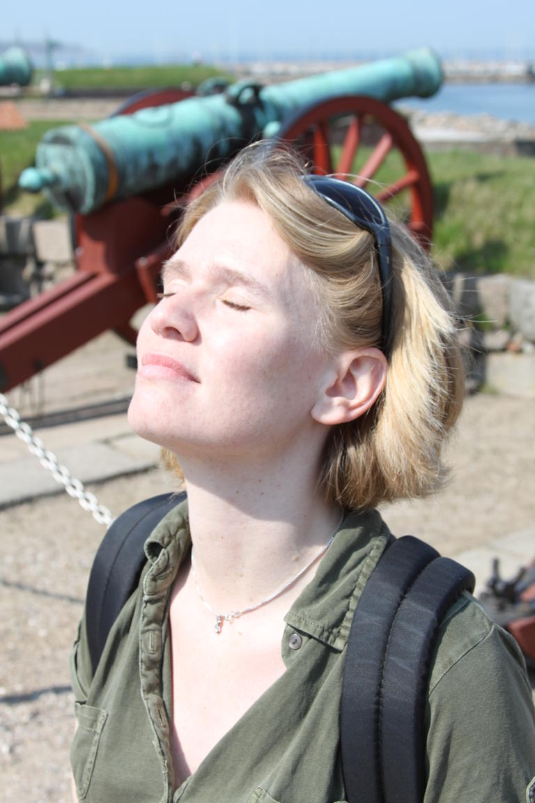 Klik på billedet for at lukke vinduet