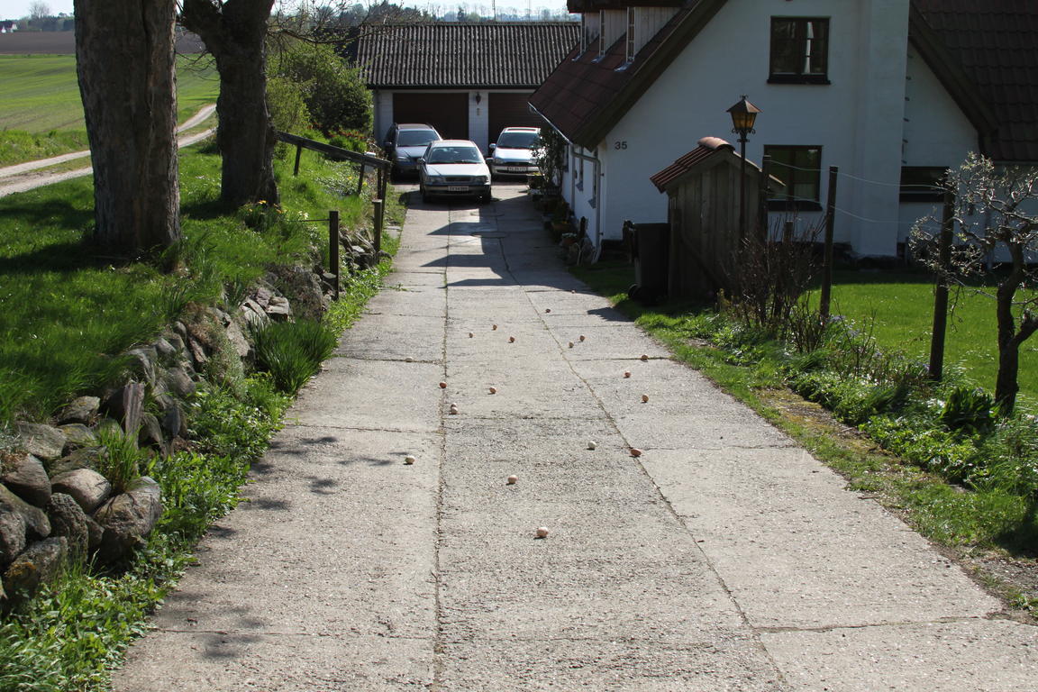 Klik på billedet for at lukke vinduet