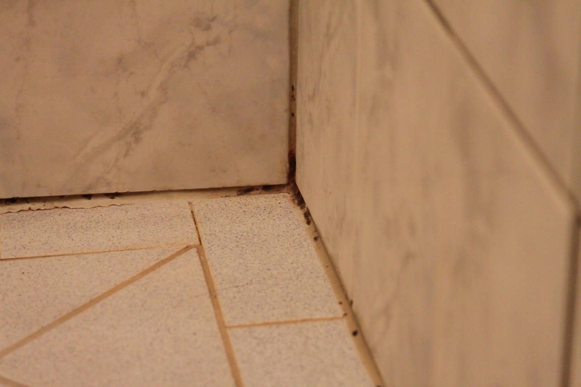 Klik på billedet for at lukke vinduet
