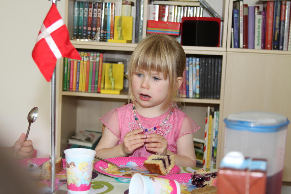 Klik på billedet for at lukke vinduet