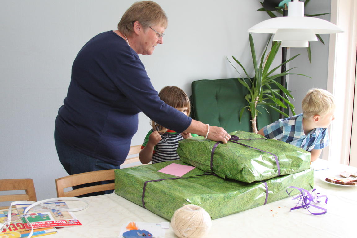 Klik på billedet for at lukke vinduet