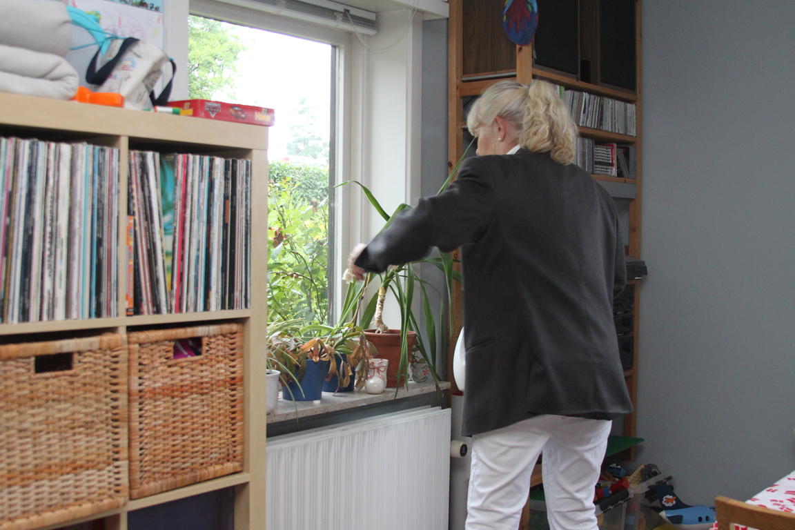 Klik på billedet for at lukke vinduet