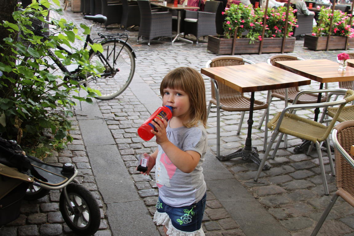 Klik på billedet for at lukke vinduet