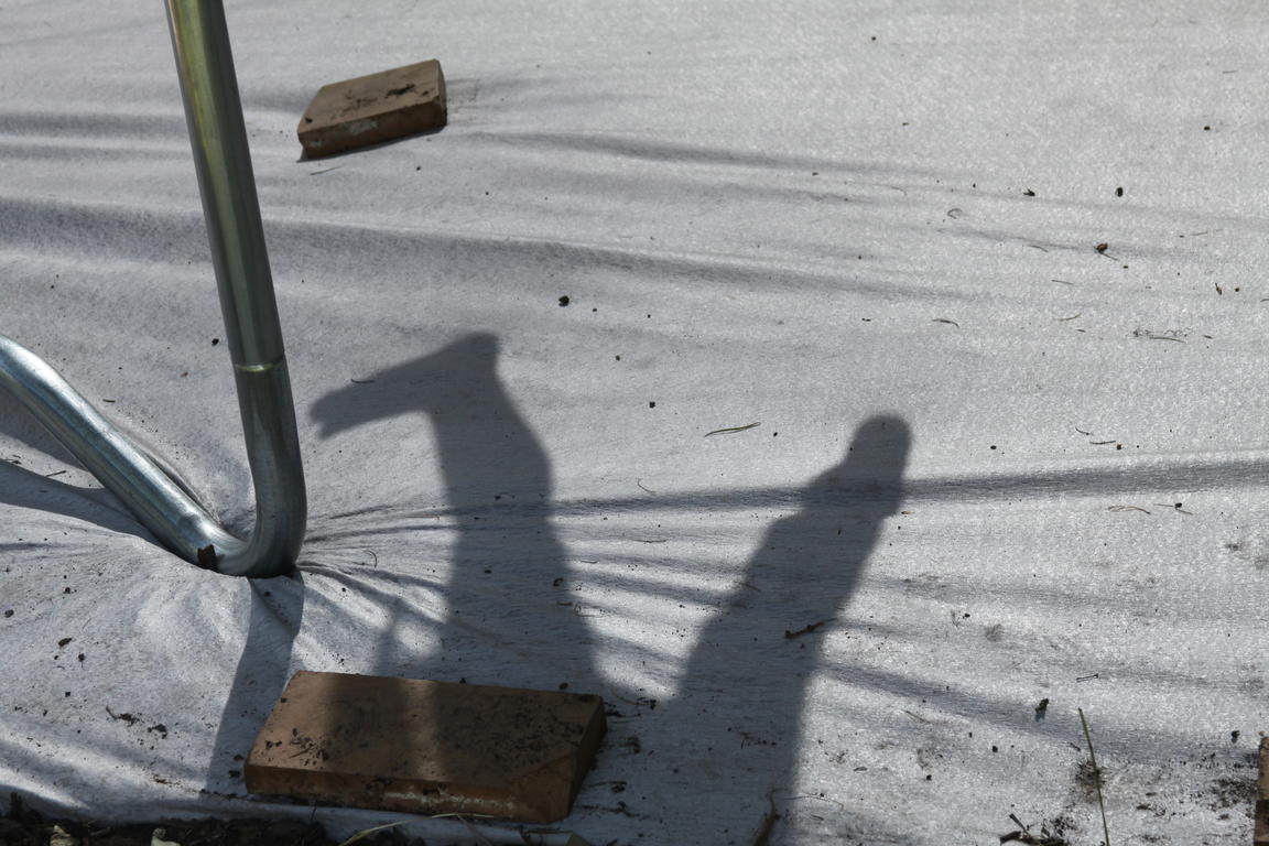 Klik på billedet for at lukke vinduet