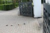 Klik på billedet for at se det i større format