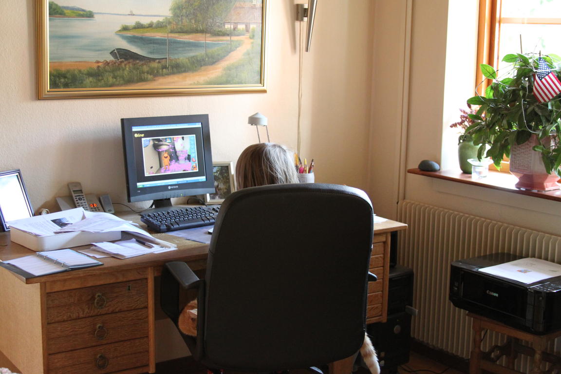 Klik på billedet for at lukke vinduet