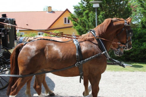 Klik på billedet for at se det i større format