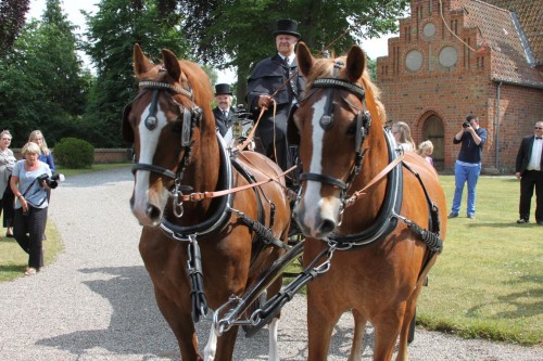 Klik på billedet for at se det i større format