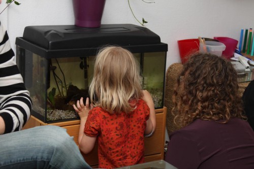 Klik på billedet for at se det i større format