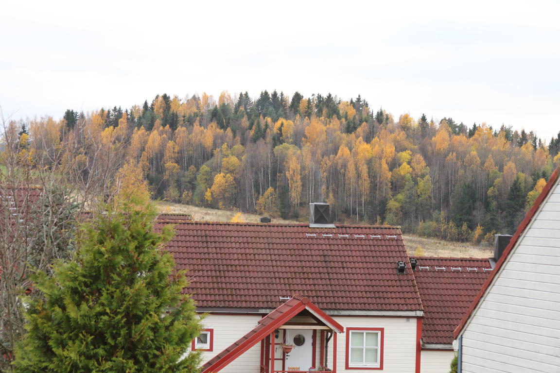 Klik på billedet for at lukke vinduet