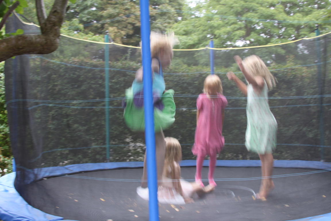 Klik på billedet for at lukke vinduet