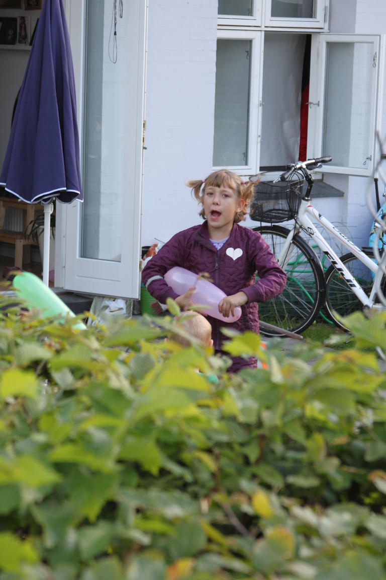 Klik på billedet for at lukke vinduet