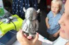 Klik på billedet for at se det i større format