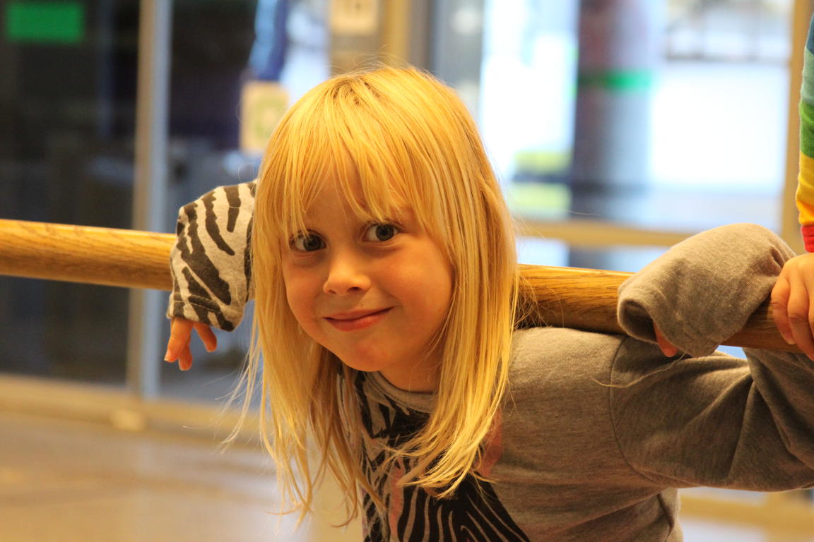 Klik på billedet for at lukke vinduet