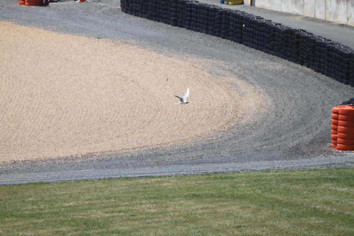 Klik på billedet for at lukke vinduet