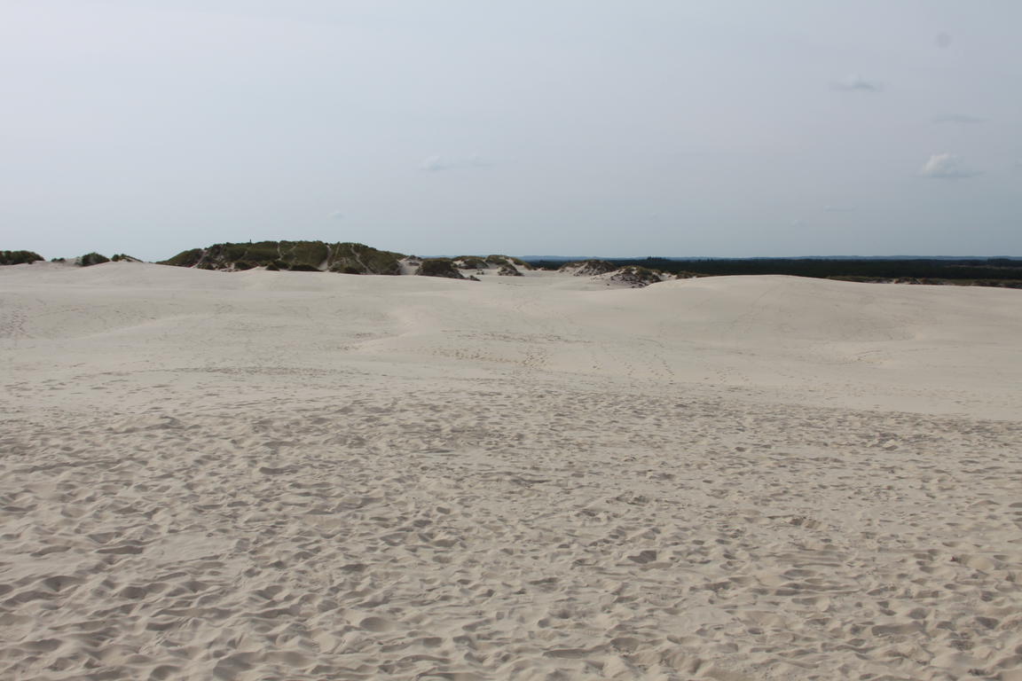 Klik på billedet for at lukke vinduet