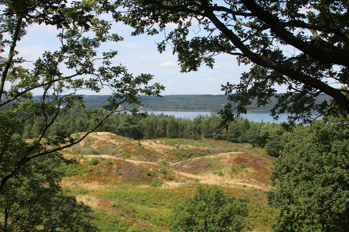 Klik på billedet for at lukke vinduet