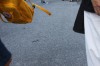 Klik på billedet for at se det i større format