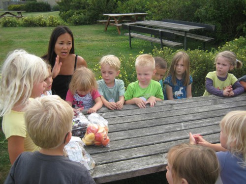 Klik på billedet for at se det i større format