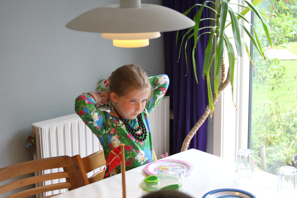 Klik på billedet for at lukke vinduet