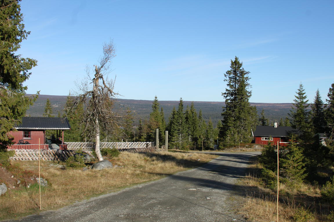 Klik på billedet for at lukke vinduet
