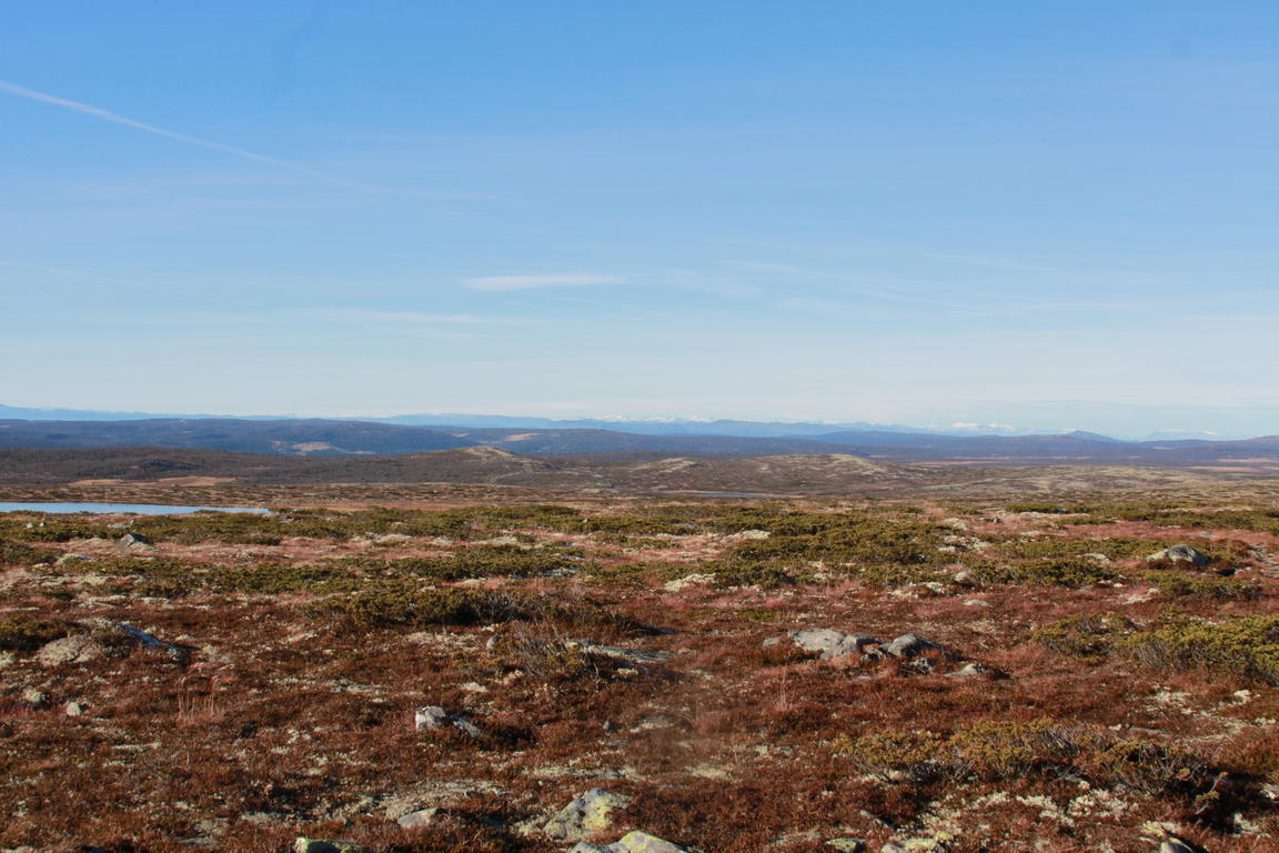 Klik på billedet for at lukke vinduet