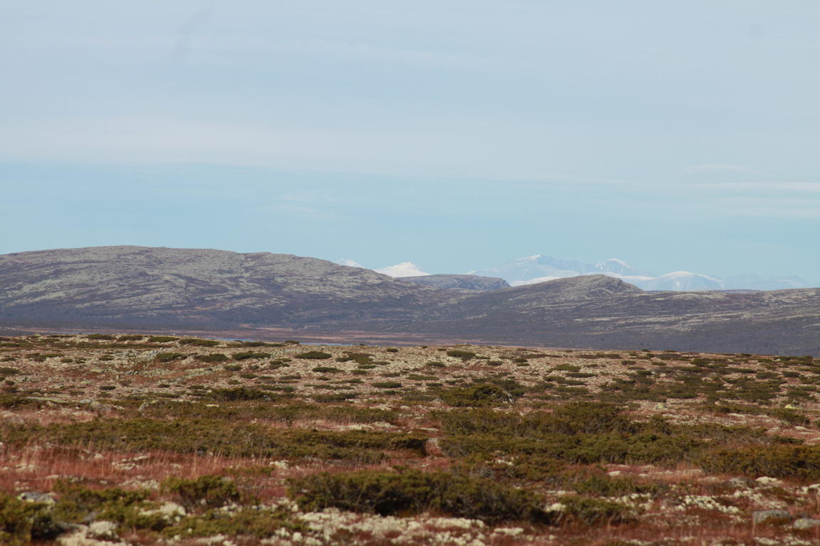 Klik på billedet for at lukke vinduet
